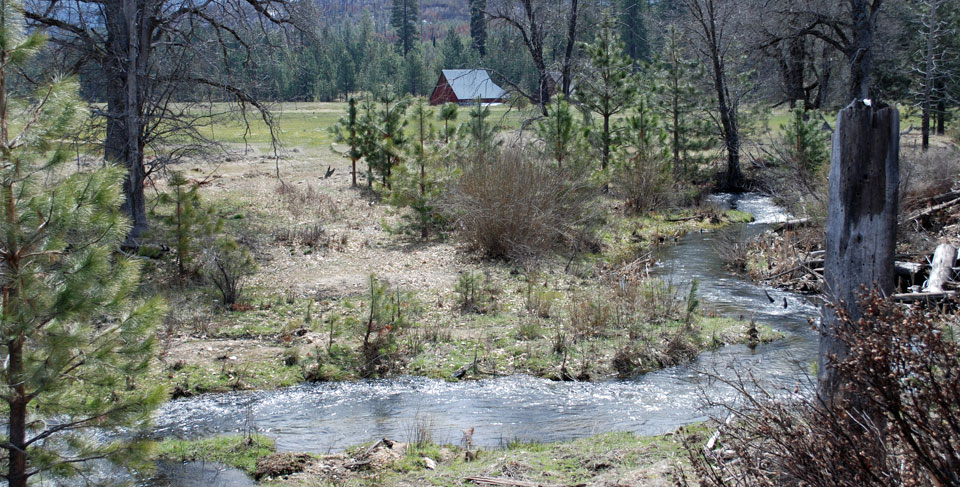 Photo of Crane Creek in Foresta, Yosemite