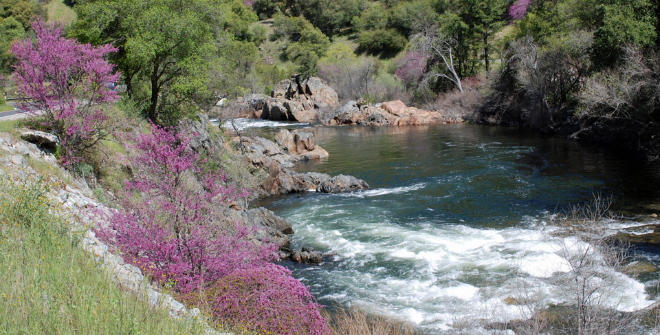 Photo of the Merced River below Yosemite Natioinal Park