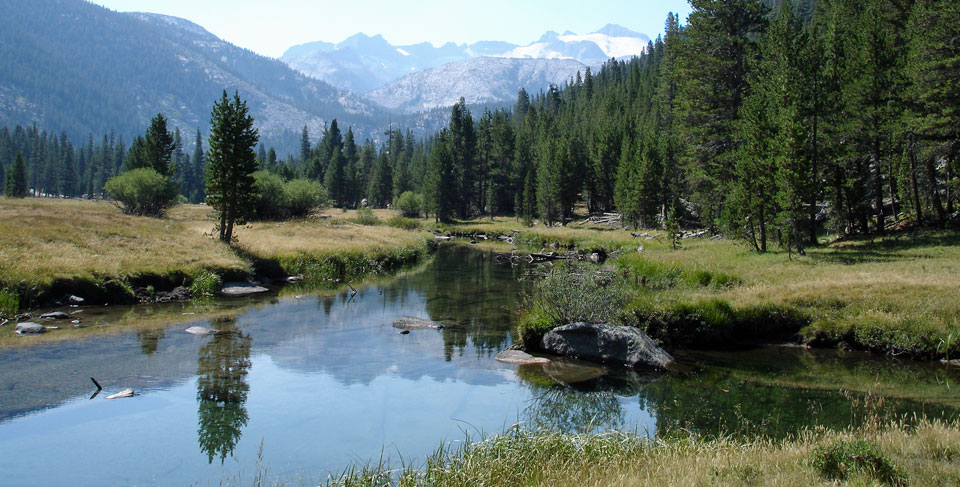 Photo of Lyell Fork, Yosemite