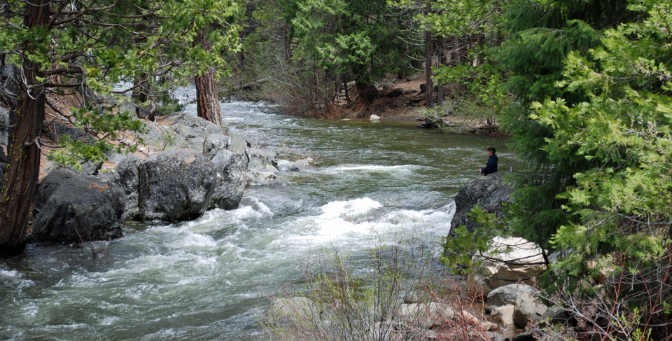 Photo of Stanislaus River