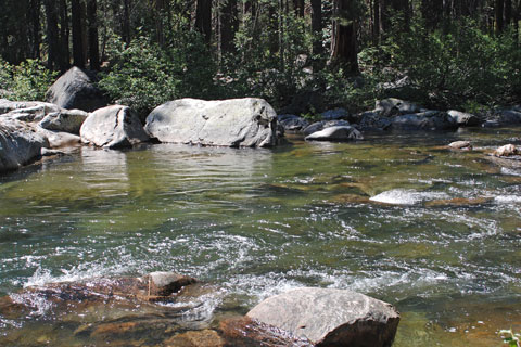 Fordyce Creek, Nevada County, California
