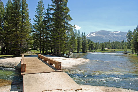 Lyell Fork, Yosemite, California