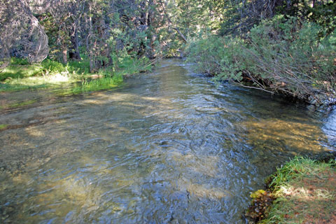 Parker Creek, Mono County, California