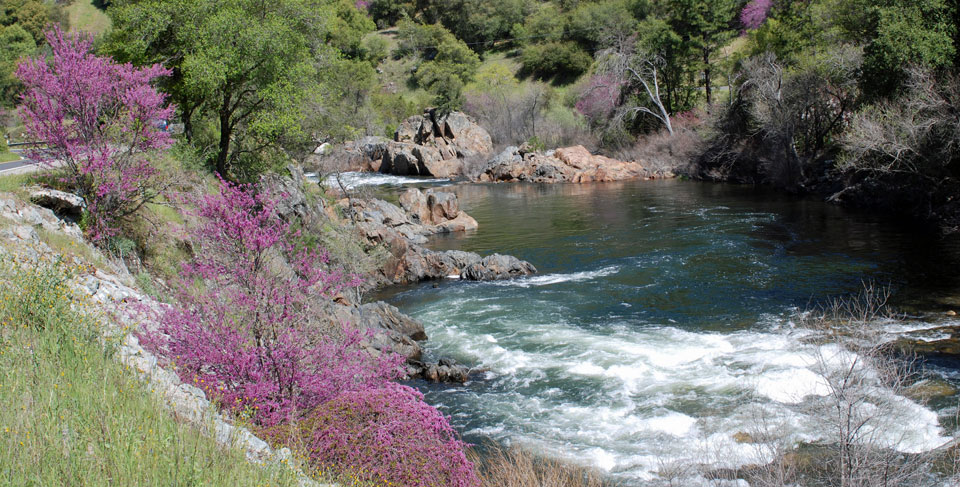 Photo of Merced River, downsteam from Yosemite, CA