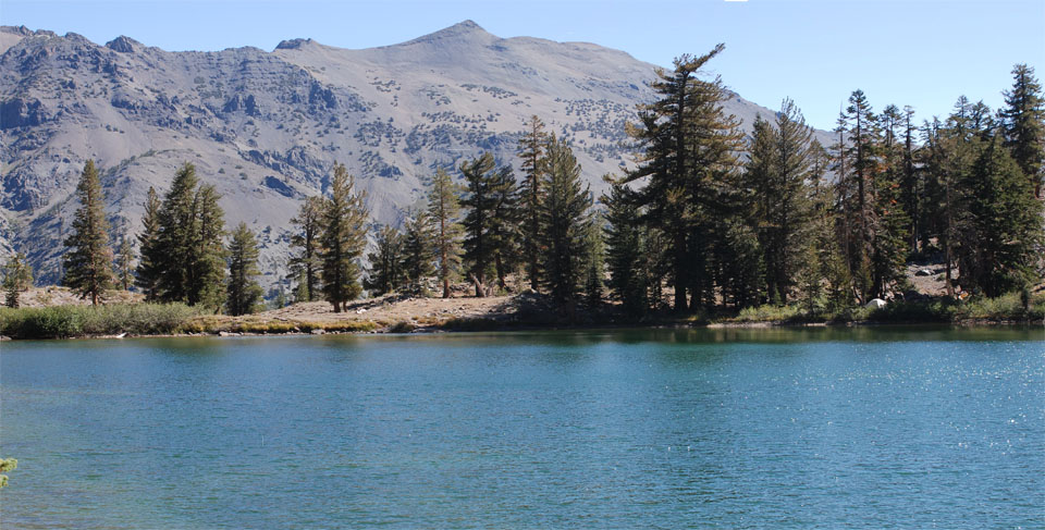 Photo of Sharon Lake, Tuolumne County, CA