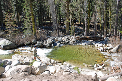 Fisherman on Marble Fork Kaweah River, Sequoia National Park, California