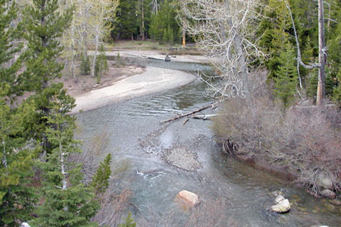 Relief Creek, Emigrant Wilderness, Tuolumne County, California