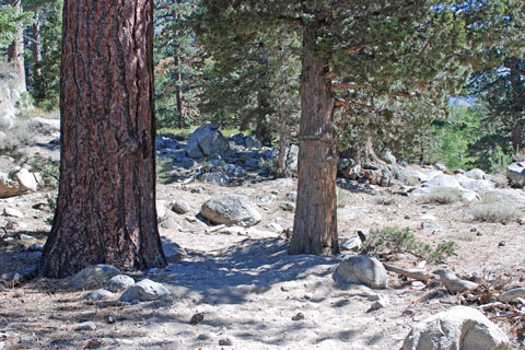 Sharon Lake turnoff, Emigrant Wilderness, Tuolumne County, California