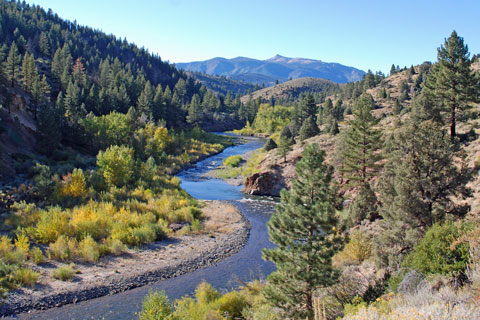 Photo of East Carson River