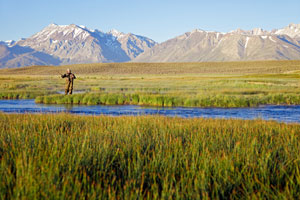 Photo of fishing the Owens River, California